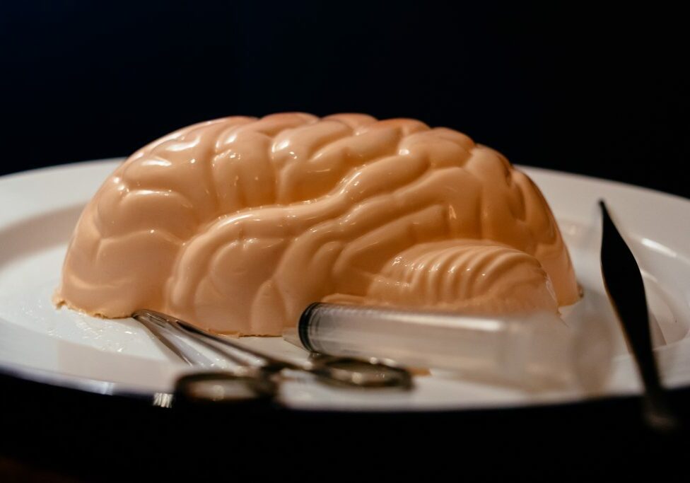 Guerilla Science Jelly Brains.
19.9.19
©Richard Eaton 07778 395888